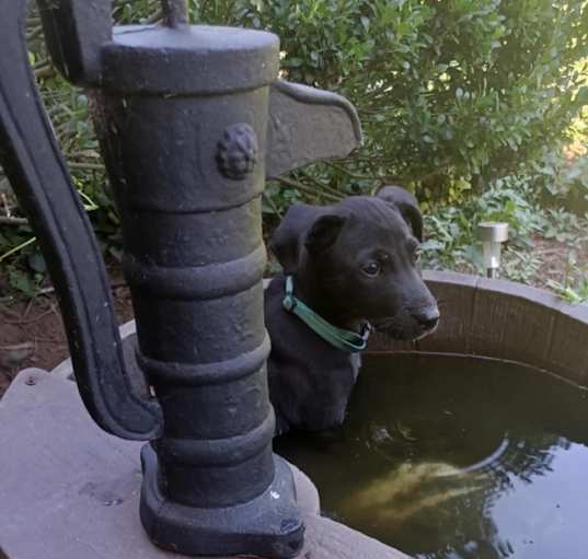 Photo of Abu
