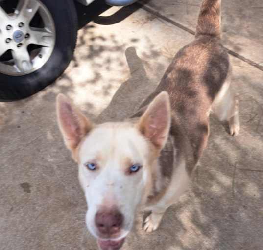 Photo of Athena