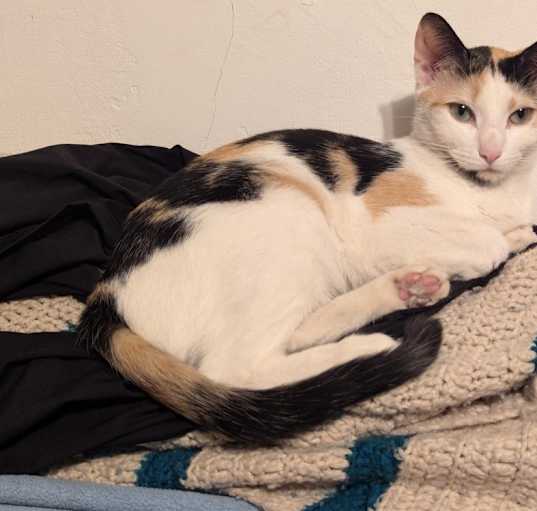 Photo of Muneca