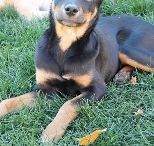 Photo of Stryker
