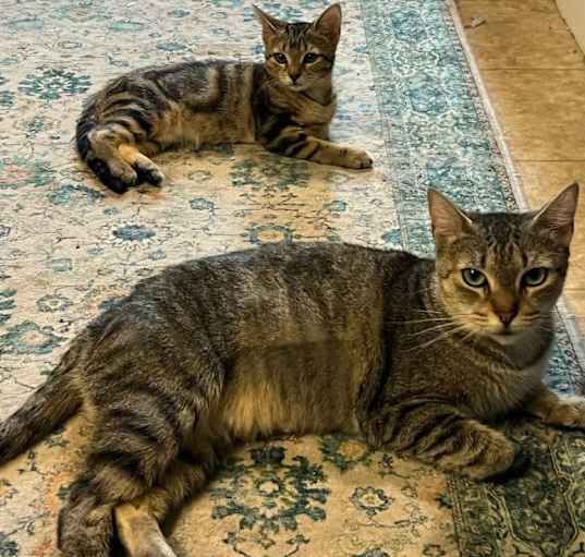 Photo of Tiny & Ncky