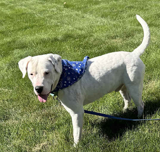 Photo of Emmit