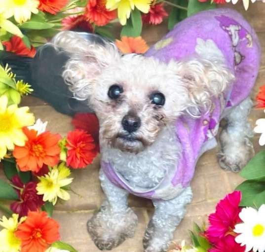 Photo of Olivia