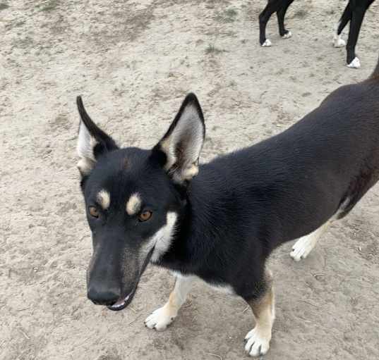 Photo of Bonnie