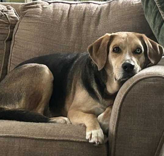 Photo of Moseley