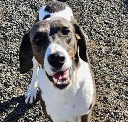 Photo of Ottis