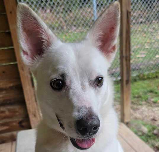 Photo of Astro