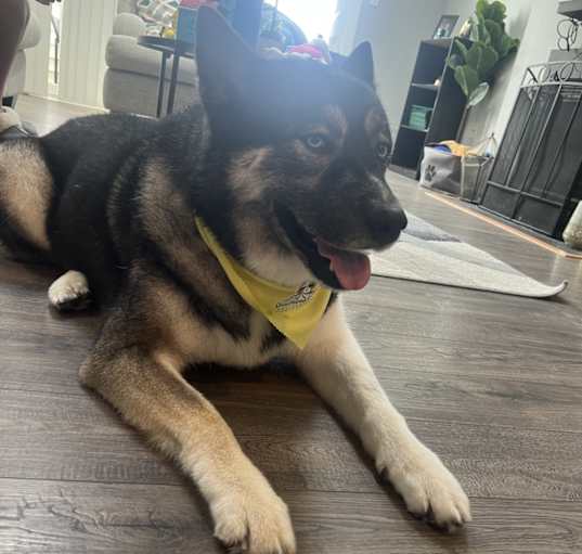 Photo of Cali