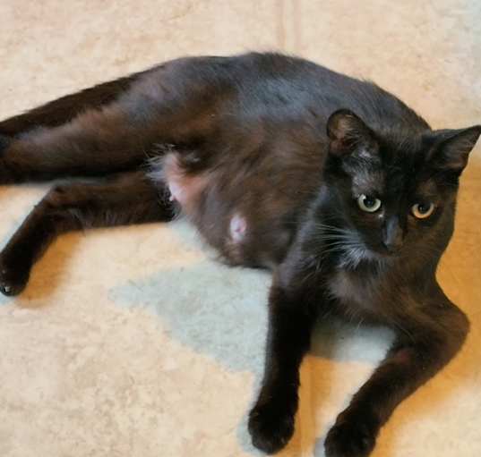 Photo of Mama