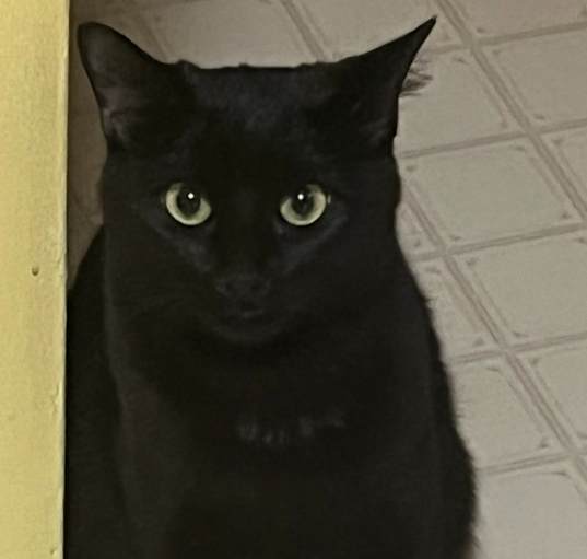 Photo of Sabrina