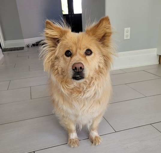 Photo of Coco