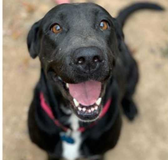Photo of Mabel