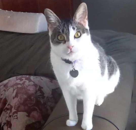 Photo of Amy