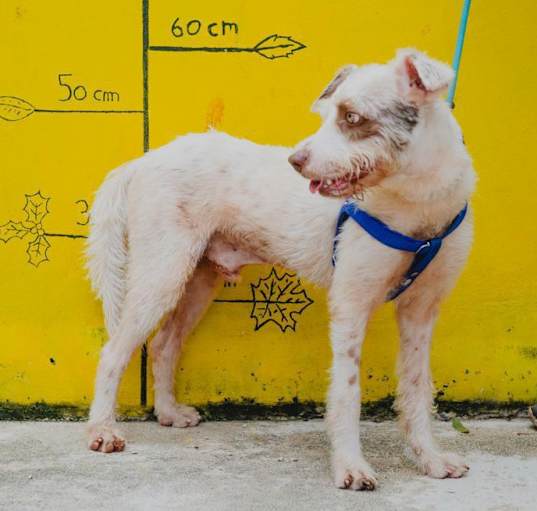 Photo of Ares