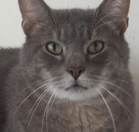Photo of Murphy