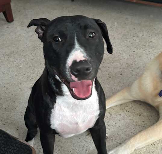 Photo of Jasper