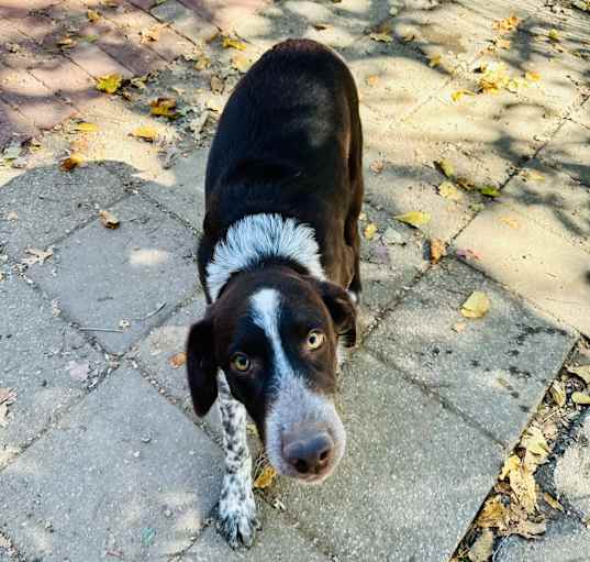 Photo of RUBERT
