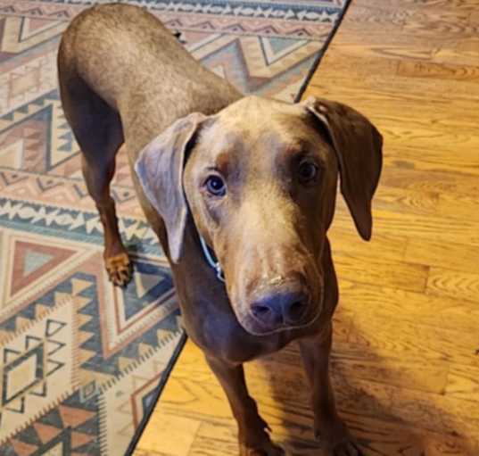 Photo of Axel