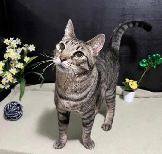 Photo of Ivy