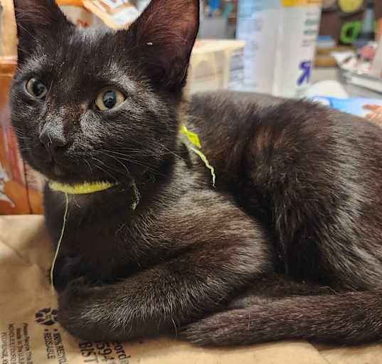 Photo of Baby