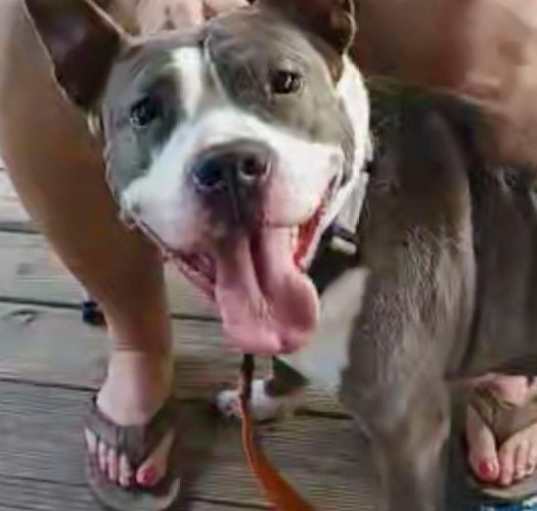 Photo of Molly