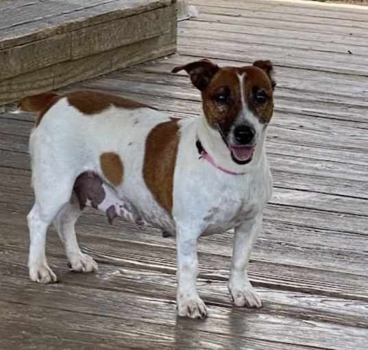 Photo of Penny in Cincinnati