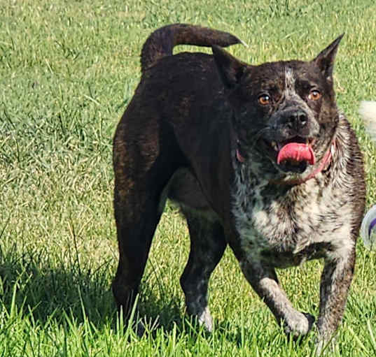Photo of Olivia