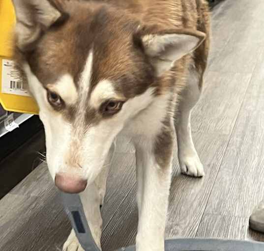 Photo of Oliver (Olly)