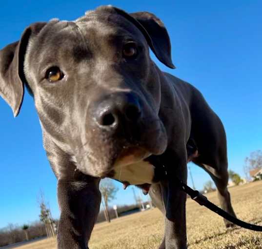 Photo of Skye