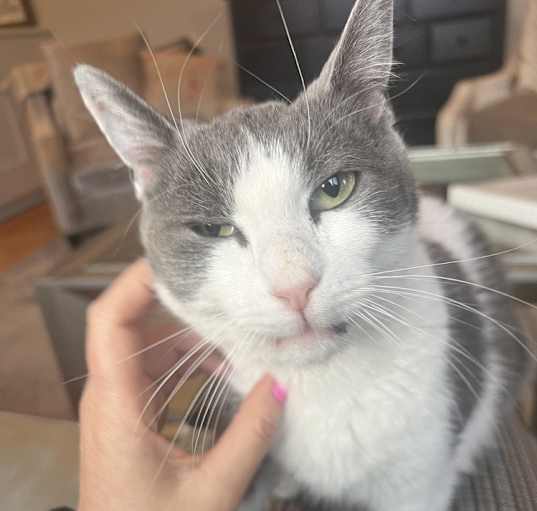 Photo of Mama Star (of The Family)