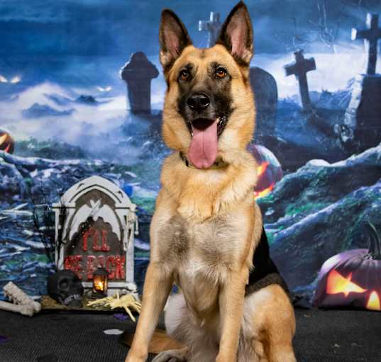 Photo of Hera