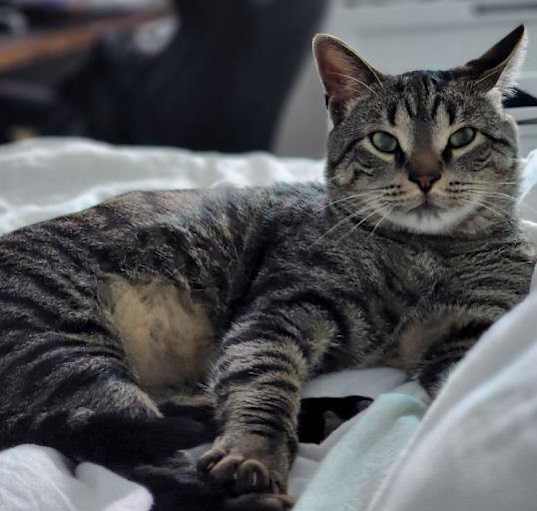 Photo of Handsome
