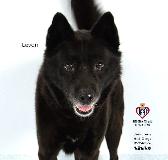 Photo of Levon