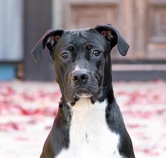 Photo of Raya