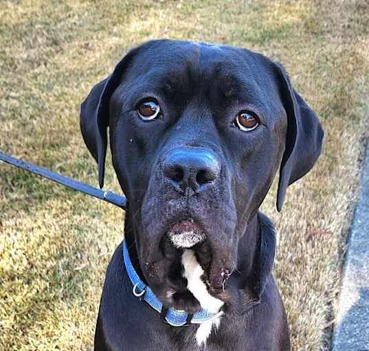 Photo of Barklee