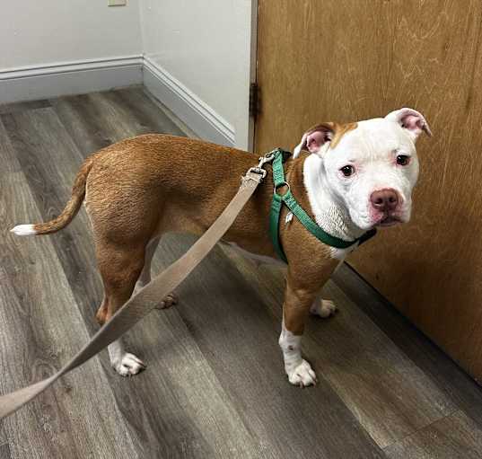 Photo of RUBY