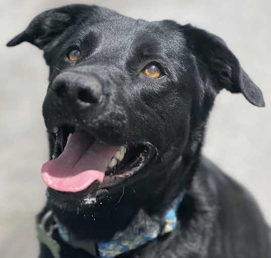 Photo of Max