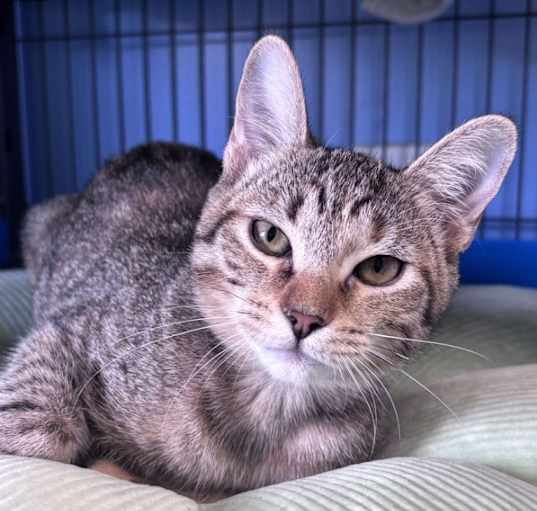 Photo of Mimi