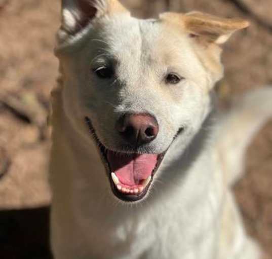 Photo of Blondie