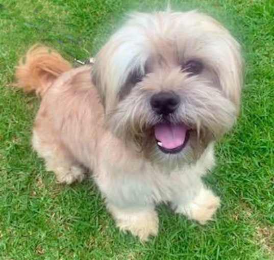 Photo of ACE