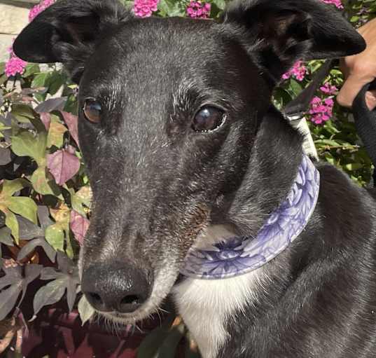 Photo of Winnie