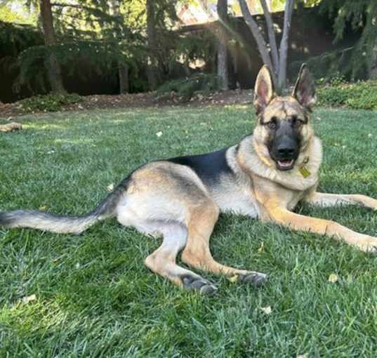 Photo of My Tye