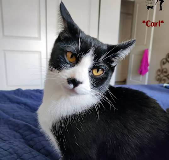Photo of Carl