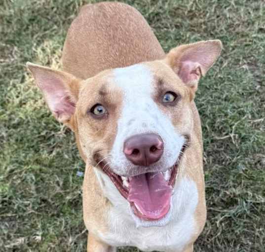 Photo of Athena