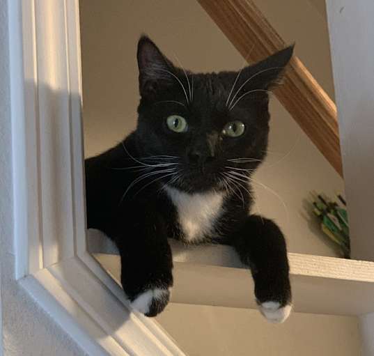 Photo of Vi