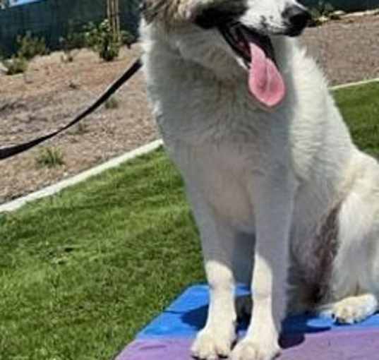 Photo of Izzy