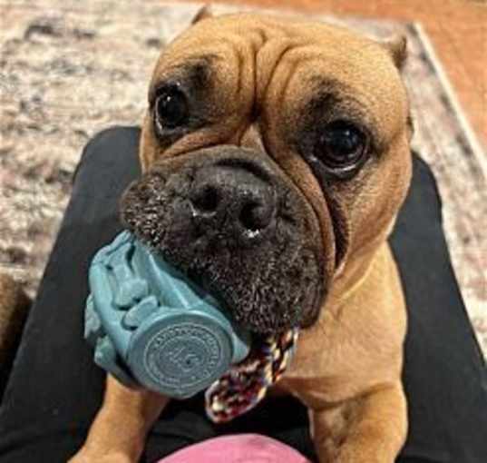 Photo of Honey