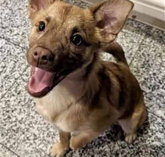 Photo of Tito