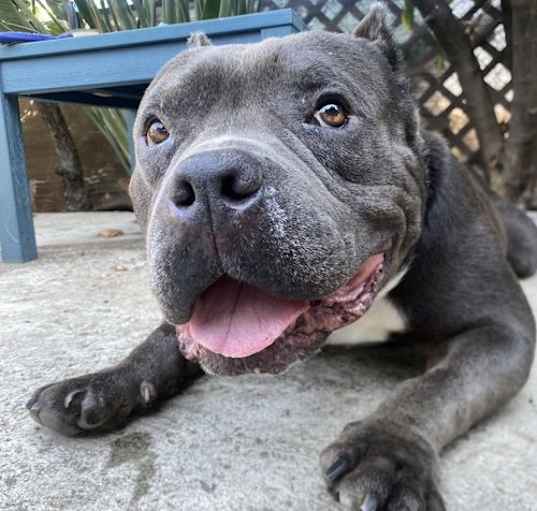 Photo of Bentley