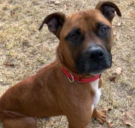 Photo of Lexi